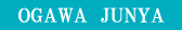 Junya Website
